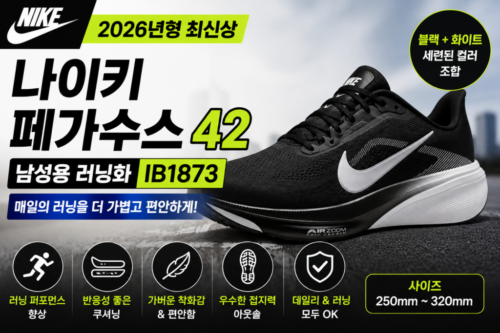 나이키 페가수스 42 남성 러닝화 IB1873 가격·특징·장단점 제품 이미지