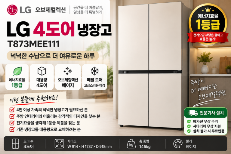 4인 가족 대용량 1등급 냉장고 추천 LG전자 T873MEE111 870L